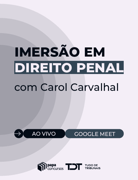 Imers�o Direito Penal