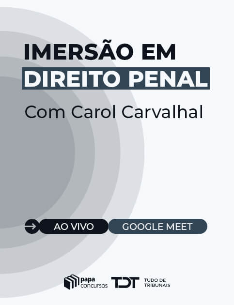 Imers�o Direito Penal